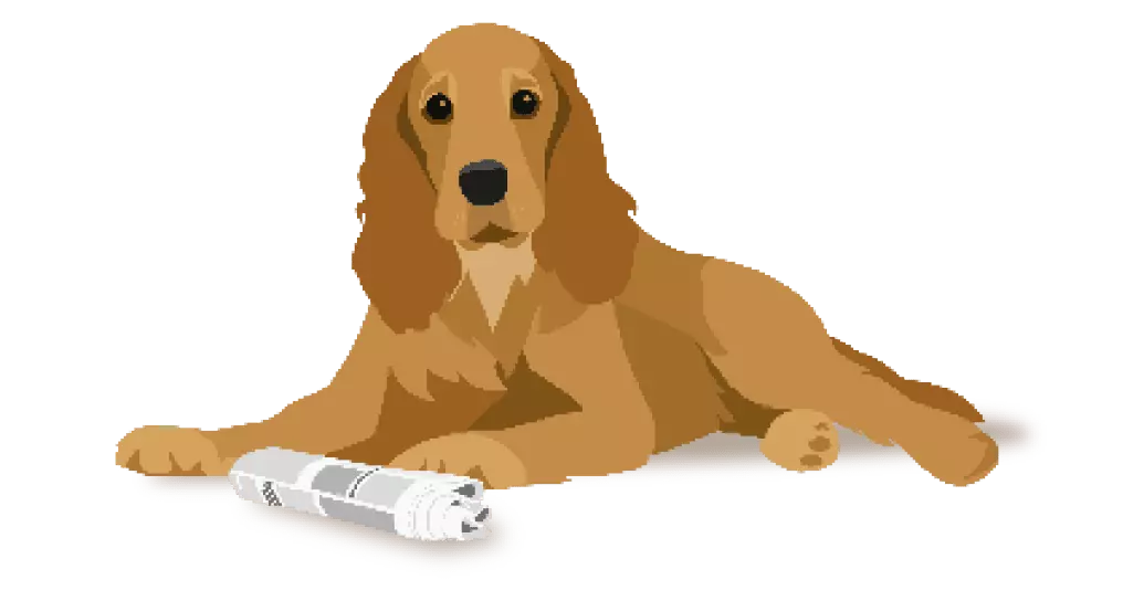 Chewdles dog best sale treats